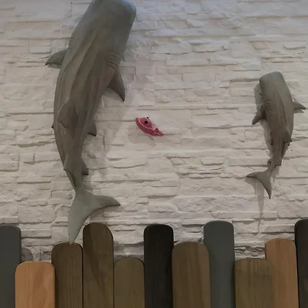 Il Pesciolino Coraggioso Bari