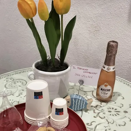 Il Pesciolino Coraggioso Bari