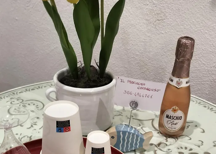 Il Pesciolino Coraggioso Bari